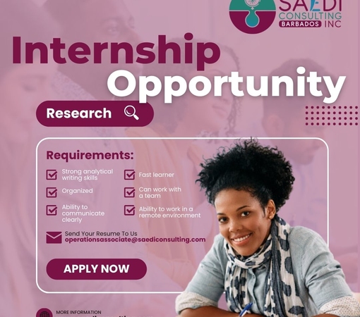 SAEDI Consulting Barbados Inc - Annual Internship Program