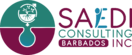 SAEDI Consulting Barbados Inc - Logo