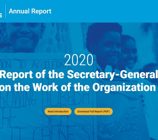 SAEDI Consulting Barbados Inc - 2020 Report of the Secretary-General on the Work of the Organization