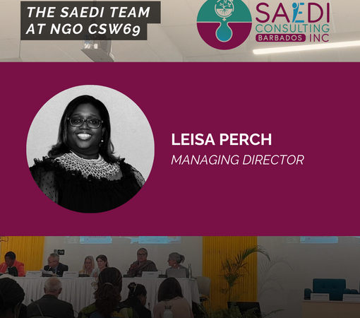 SAEDI Consulting Barbados Inc - Chat with us at NGO CSW69