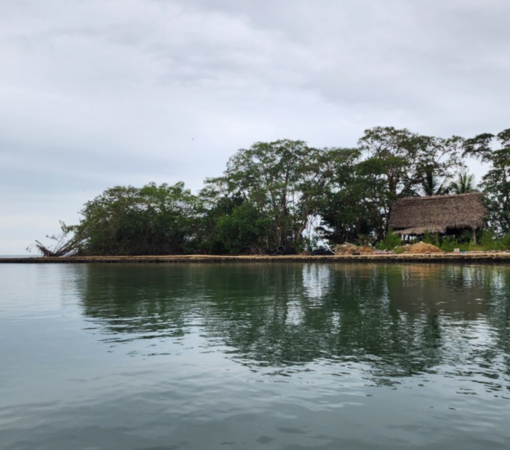 SAEDI Consulting Barbados Inc - Garifuna Communities on the Frontline of Climate Change