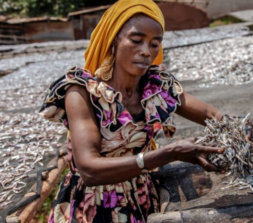 SAEDI Consulting Barbados Inc - Small-scale fishers’ role in feeding the planet goes overlooked: Study