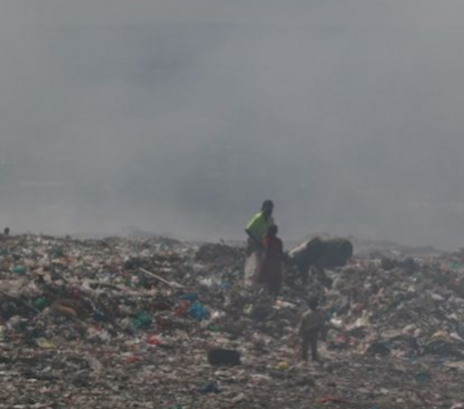 SAEDI Consulting Barbados Inc - Can We Still Solve Climate Change?