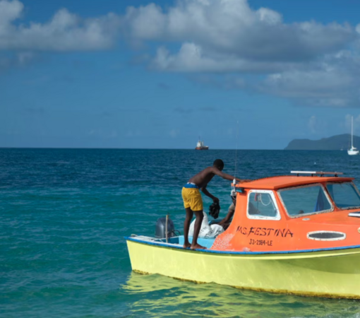 SAEDI Consulting Barbados Inc - A Historic Step Forward for Ocean Governance in the Wider Caribbean