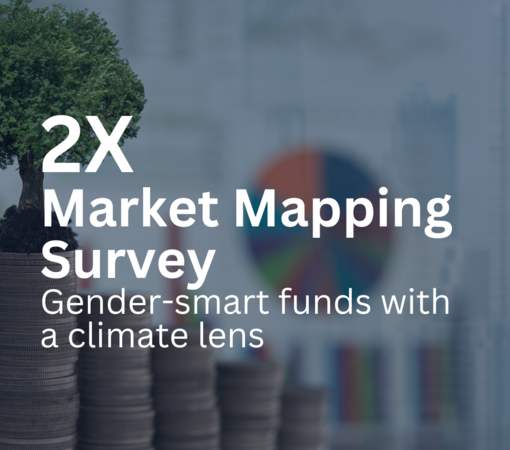 SAEDI Consulting Barbados Inc - Investing in Climate and Gender? Tell us more!