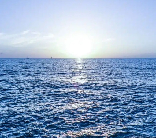 SAEDI Consulting Barbados Inc - La Niña Event Likely ‘Short Lived’, WMO Says Following Third-Hottest February on Record