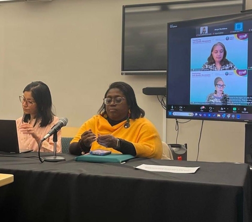 SAEDI Consulting Barbados Inc - SGP: A Powerful Way to Close NGO CSW69!