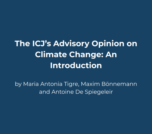 SAEDI Consulting Barbados Inc - The ICJ’s Advisory Opinion on Climate Change: An Introduction