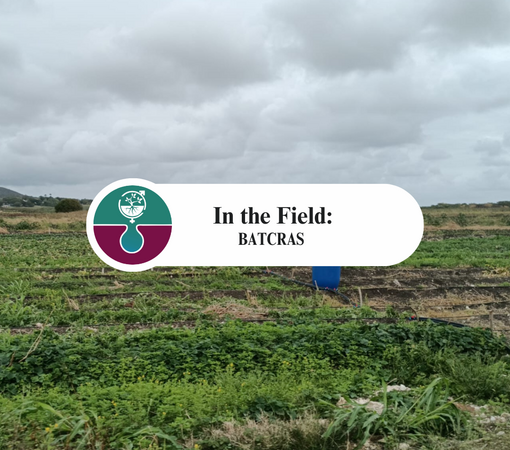 SAEDI Consulting Barbados Inc - In the Field: BATCRAS