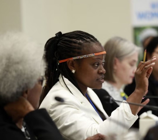 SAEDI Consulting Barbados Inc - Civil society and youth leaders engage with United Nations experts to push forward for gender equality