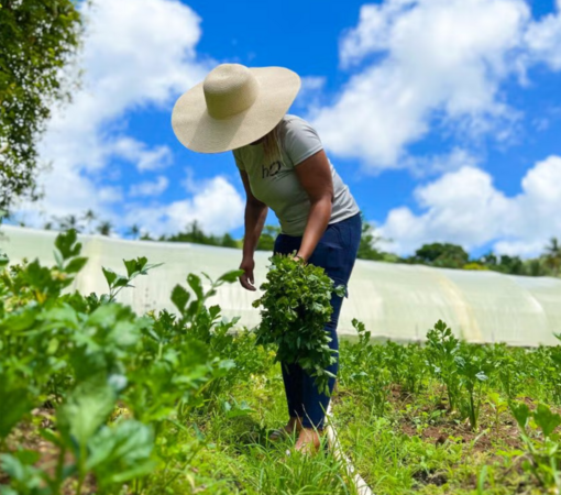 SAEDI Consulting Barbados Inc - Op-Ed: African Women Across The Diaspora Are The Climate Experts You’ve Been Overlooking by Amina Doherty and Chef Fatmata Binta | Essence