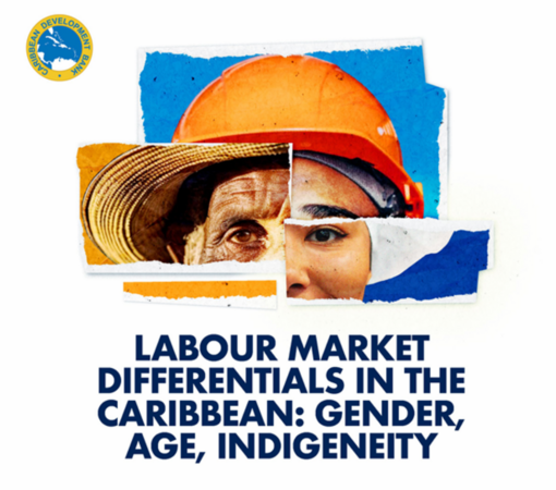 SAEDI Consulting Barbados Inc - Labour Market Differentials in the Caribbean: Gender, Age, Indigeneity | CDB Report