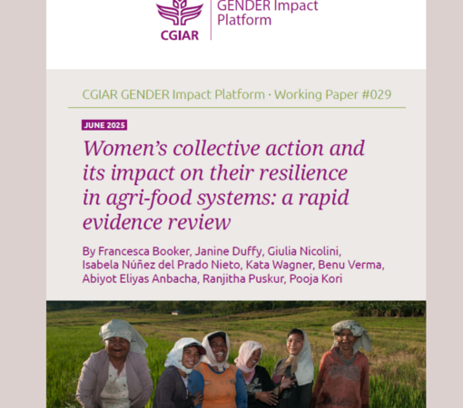 SAEDI Consulting Barbados Inc - Women’s collective action and its impact on their resilience in agri-food systems: a rapid evidence review | CGIAR GENDER Impact Platform Working Paper #029