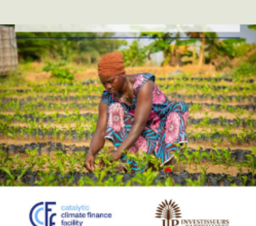 SAEDI Consulting Barbados Inc - Transformative Capital: The Role of Blended Finance in shaping the trajectories of gender- and climate focused Impact Funds in Sub-Saharan Africa | I&P