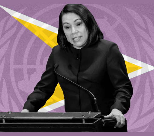 SAEDI Consulting Barbados Inc - ‘A critical crossroads’: who is the woman vying to become the first Caribbean head of the UN? by Natricia Duncan | The Guardian