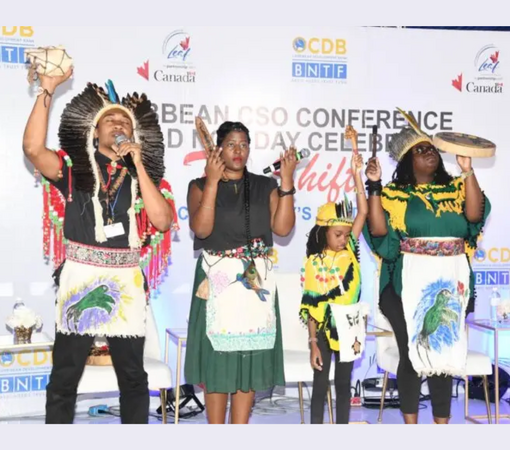 SAEDI Consulting Barbados Inc - First peoples of Jamaica take the floor at UN Seabed confab | Jamaica Observer