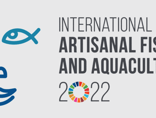 SAEDI Consulting Barbados Inc - The International Year of Artisanal Fisheries and Aquaculture (IYAFA 2022)