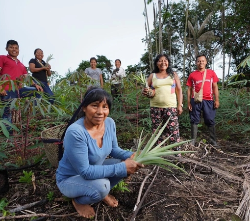 SAEDI Consulting Barbados Inc - Guardians of the Amazon