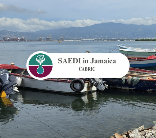 SAEDI Consulting Barbados Inc - On Mission: CABRIC Jamaica