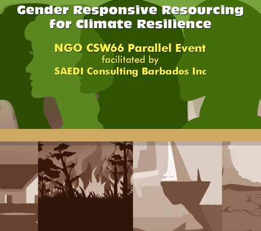 SAEDI Consulting Barbados Inc - SAEDI Consulting Set To Host CSW66 Parallel Event