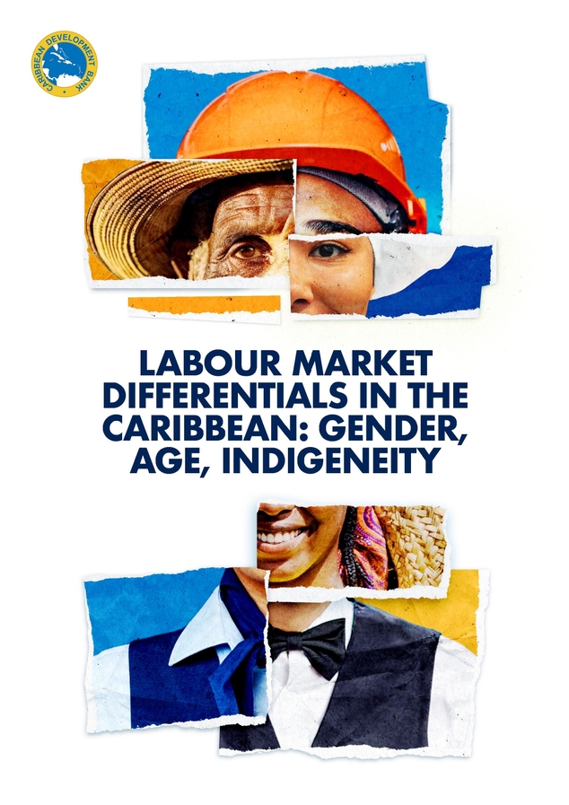 SAEDI Consulting Barbados Inc: Publications 3