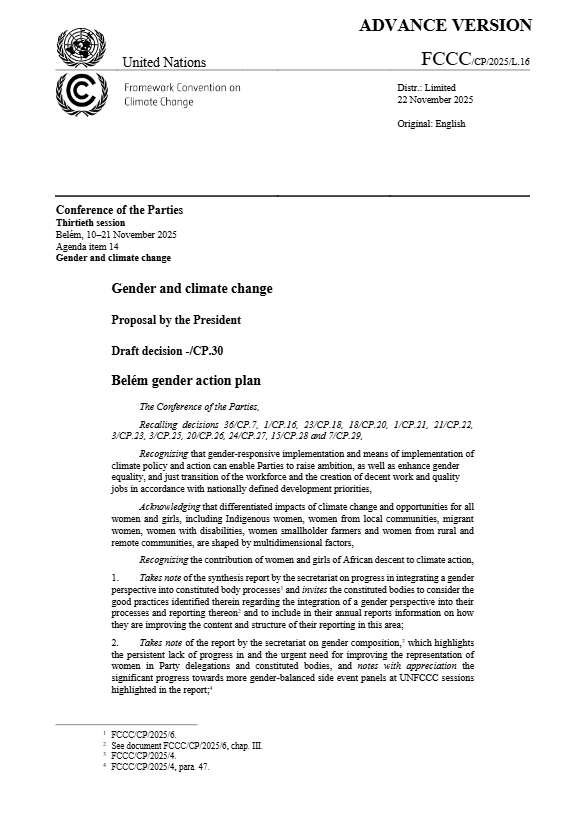 SAEDI Consulting Barbados Inc: Publications 1