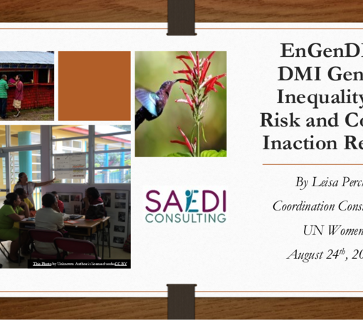 SAEDI Consulting Barbados Inc - DMI Gender Inequality of Risk and Cost of Inaction Review
