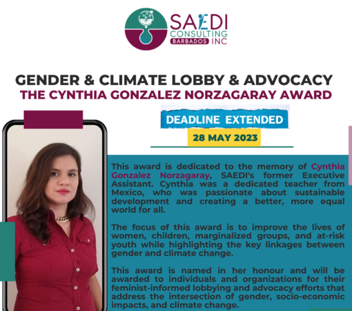 SAEDI Consulting Barbados Inc - DEADLINE EXTENDED - Environment Day Corporate Giving Project: Gender and Climate  Lobby and Advocacy-The Cynthia González  Norzagaray Award