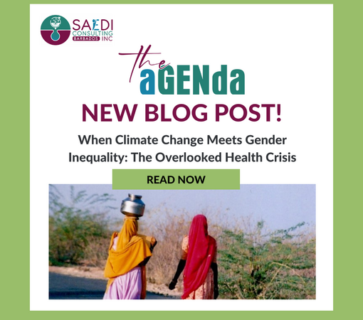 SAEDI Consulting Barbados Inc - Read our latest blog | When Climate Change Meets Gender Inequality: The Overlooked Health Crisis