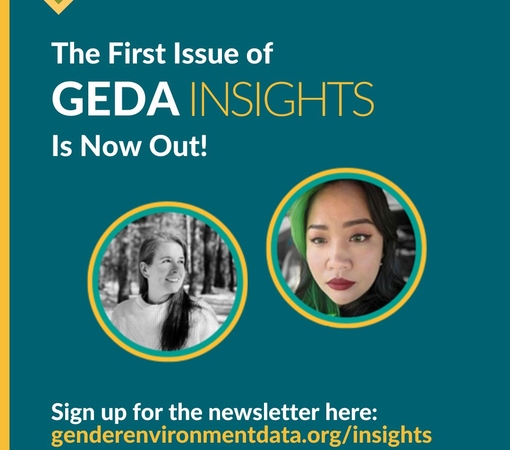SAEDI Consulting Barbados Inc - Issue 1: GEDA Insights