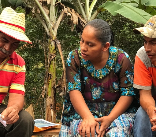 SAEDI Consulting Barbados Inc - Indigenous community takes Guatemalan land rights fight to international court