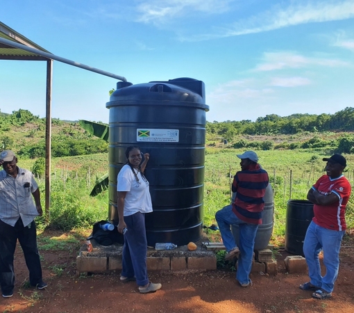 SAEDI Consulting Barbados Inc - In Jamaica, farmers struggle to contend with a changing climate