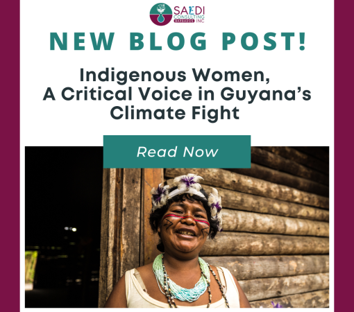 SAEDI Consulting Barbados Inc - Indigenous Women, A Critical Voice in Guyana’s Climate Fight