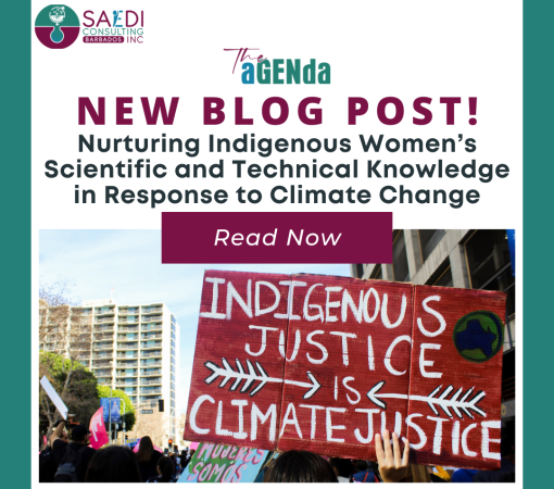 SAEDI Consulting Barbados Inc - Nurturing Indigenous Women’s Scientific and Technical Knowledge in Response to Climate Change