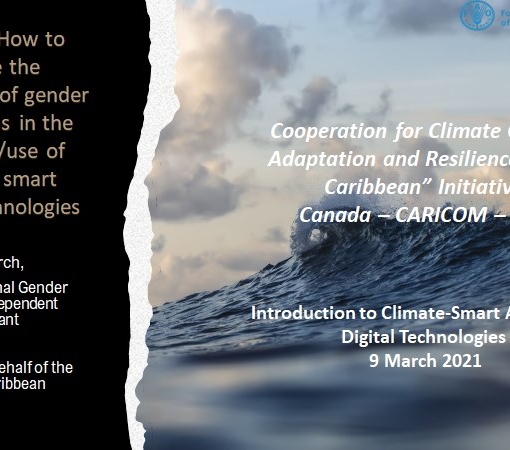 SAEDI Consulting Barbados Inc - Gender Matters in the Adoption/Use of Climate-smart Digital Technologies