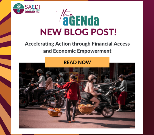 SAEDI Consulting Barbados Inc - New Blog: Accelerating Action through Financial Access and Economic Empowerment