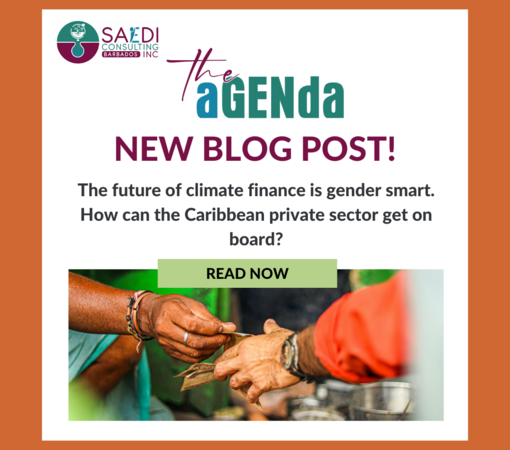 SAEDI Consulting Barbados Inc - Read our latest blog | The future of climate finance is gender smart. How can the Caribbean private sector get on board?