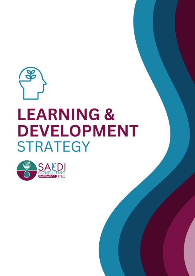 SAEDI Consulting Barbados Inc: Publications 8