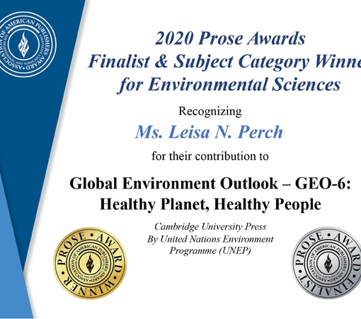 SAEDI Consulting Barbados Inc - Leisa Awarded For Her Collaborative Work