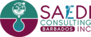 SAEDI Consulting Barbados Inc - Logo
