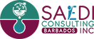 SAEDI Consulting Barbados Inc - Logo