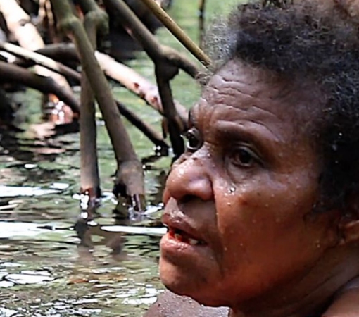 SAEDI Consulting Barbados Inc - Papua's sacred forest for women only