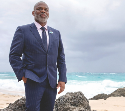 SAEDI Consulting Barbados Inc - What If Preservation Was Profitable? by Walter Roban | The Bermudian