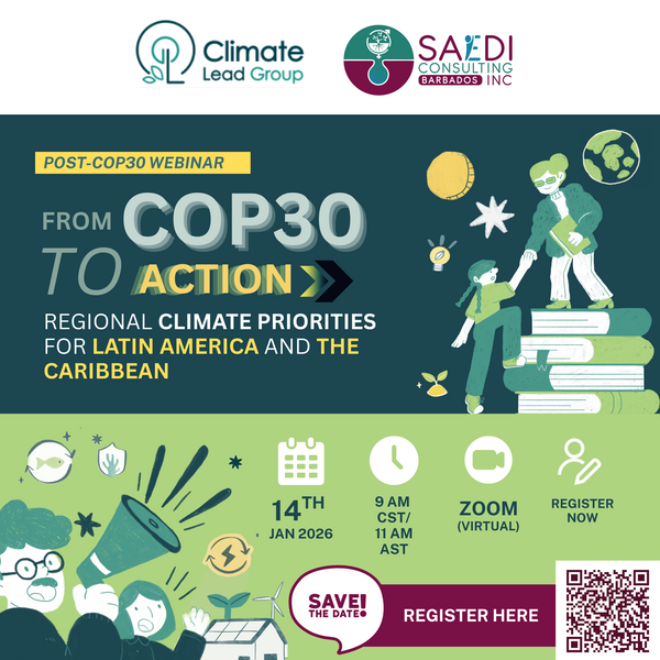 SAEDI Consulting Barbados Inc: Interactive Dialogue Theme - Making Climate Finance work for SIDS: Building on the Outcomes of UNFCCC COP 28 