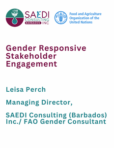 Resilient Caribbean Initiative - Capacity Building for Gender-responsive Stakeholder Engagement | SAEDI Consulting Barbados Inc