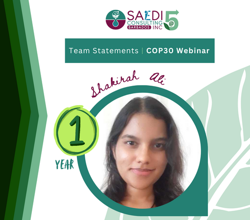 SAEDI Consulting Barbados Inc - Reflections on our post-COP30 webinar with CLG by Shakirah Ali