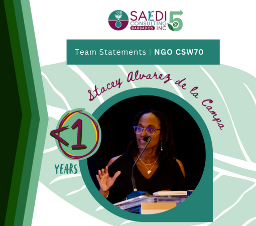 SAEDI Consulting Barbados Inc - Reflections on our post-CSW70 Webinar by Stacey Alvarez de la Campa