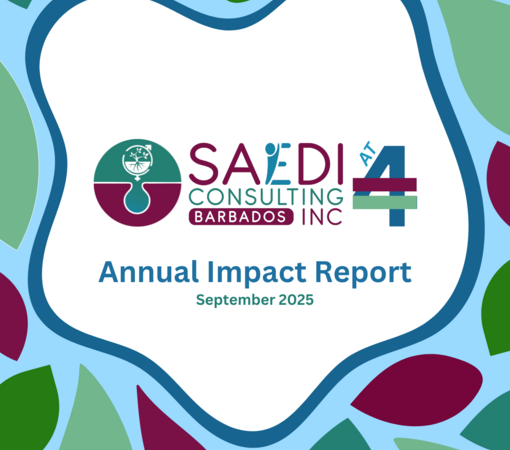 SAEDI Consulting Barbados Inc - Our Annual Report is here!