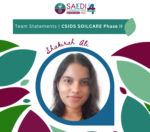 SAEDI Consulting Barbados Inc - Celebrating 4 Years of SAEDI Consulting - Team Statement #4