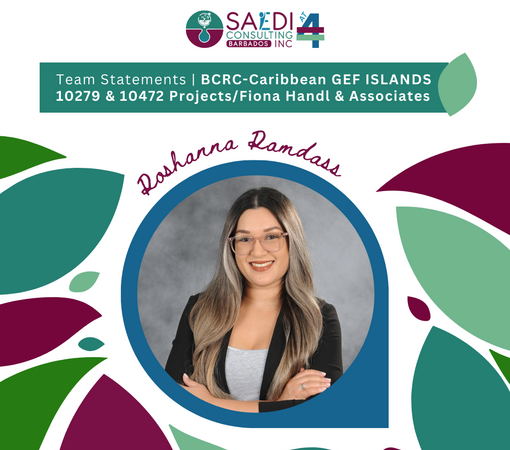 SAEDI Consulting Barbados Inc - Celebrating 4 Years of SAEDI Consulting - Team Statement #8
